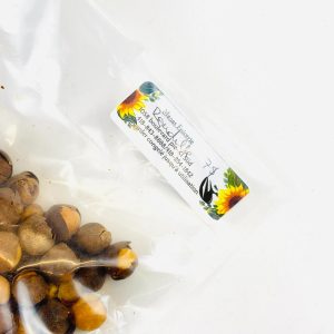 Noix de bandji fruit sec 100g