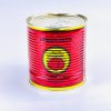 Purée de Tomato Paste générique 500 g