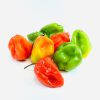 Piment antillais frais très piquant 100 g