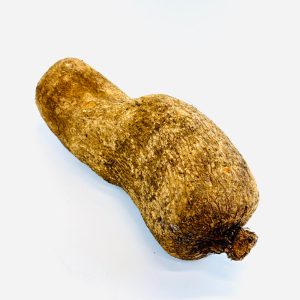 Igname africain ~1 kg