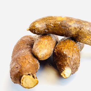 Manioc frais racine féculente ~1 kg
