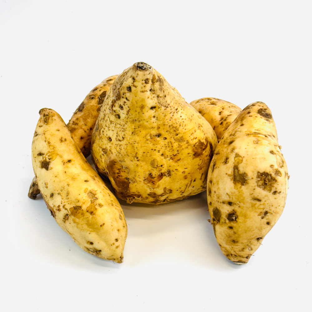 Igname blanc 1,5 kg – Image 2