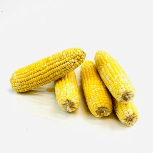 Épis de maïs – grains jaunes sucrés 5 unités