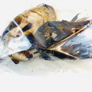 Poisson fumé Mâchoiron africain ~1 kg