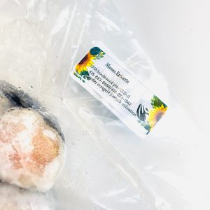Poisson Morrue découpé