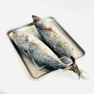 Poisson Thon entier congelé 1 kg