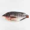 Poisson tilapia entier, qualité fraîcheur 1kg
