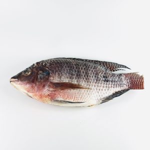 Poisson tilapia entier, qualité fraîcheur 1kg