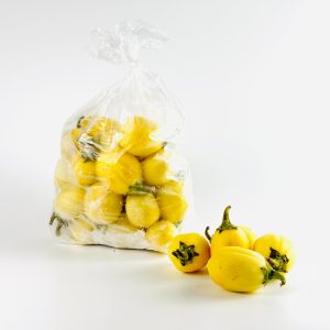 Aubergine africaine jaune congelée, saveur unique 1kg